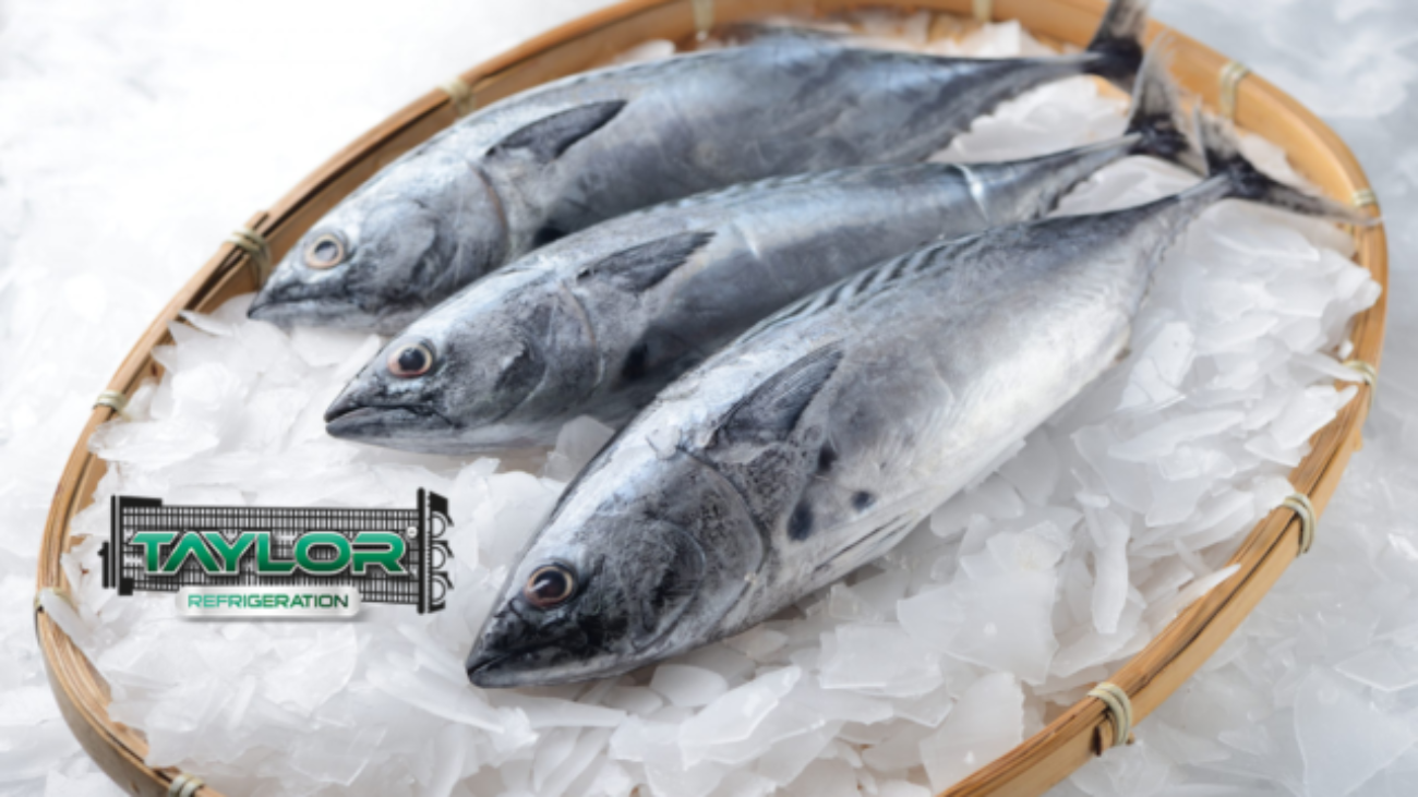 flake ice for seafood brisbane