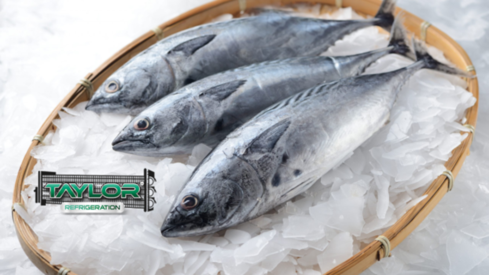 flake ice for seafood brisbane