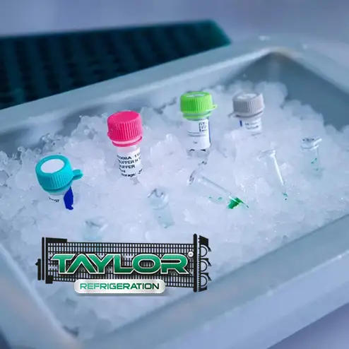 refrigeration solution for pharmaceuticals brisbane